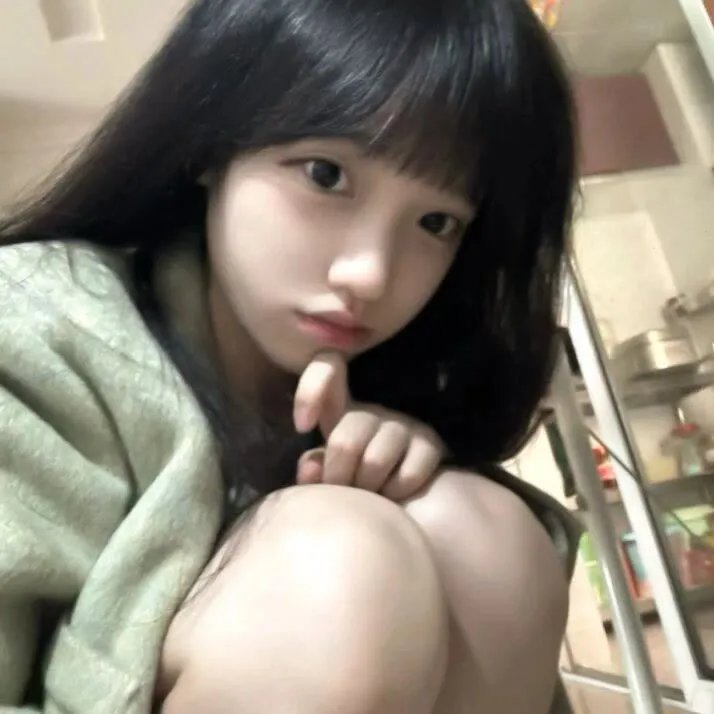 翼龙
